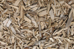 biomass boilers Stonebroom